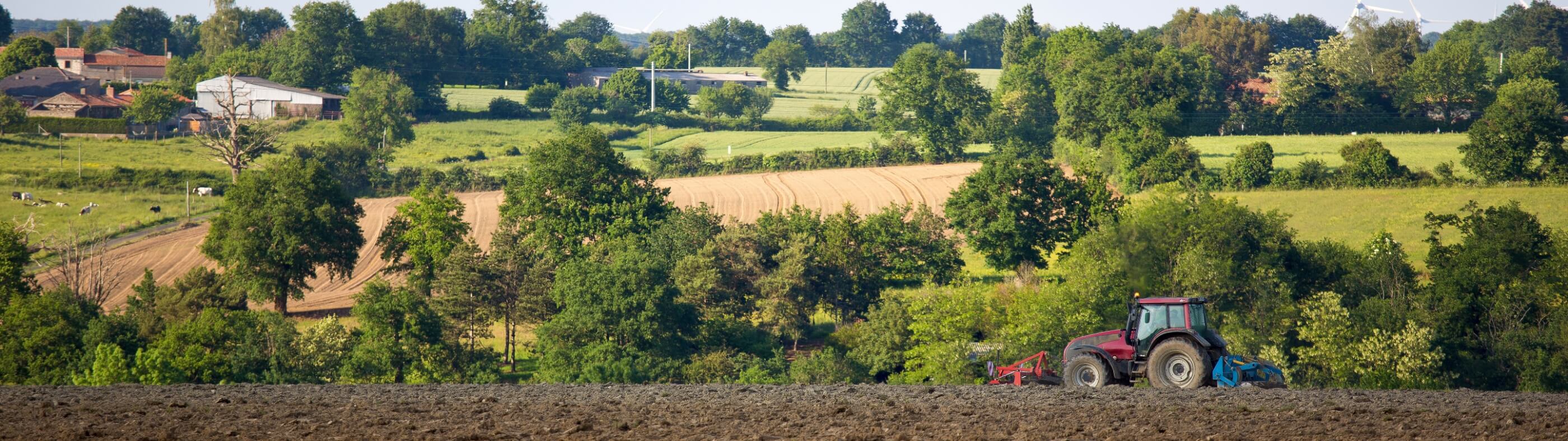 物件お問い合わせ完了