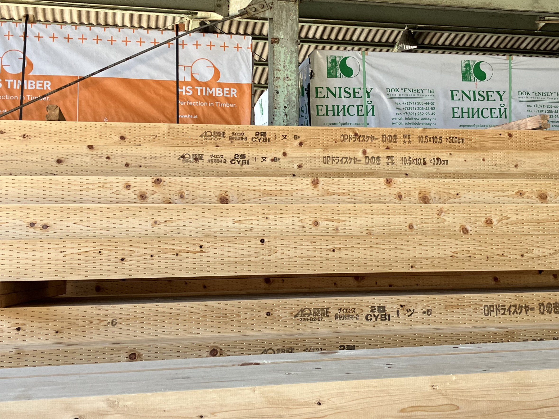 木に切れ込み!?家を守るインサイジング加工とは？