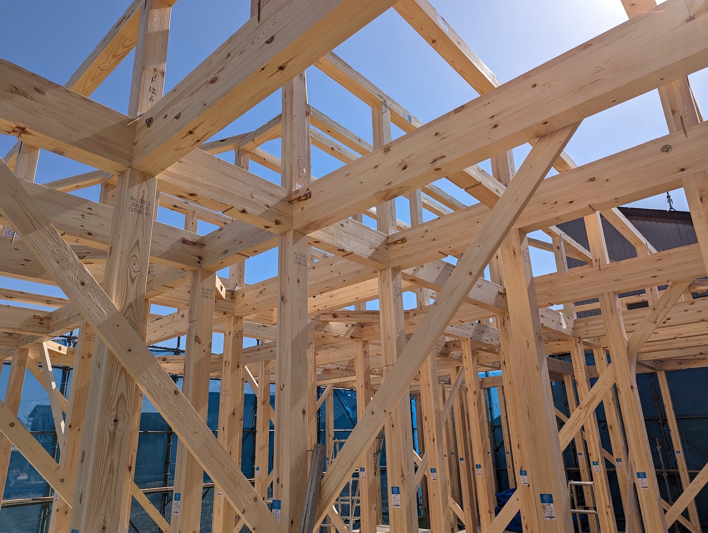 家づくりの本音①頑丈な構造は設計に影響するか？