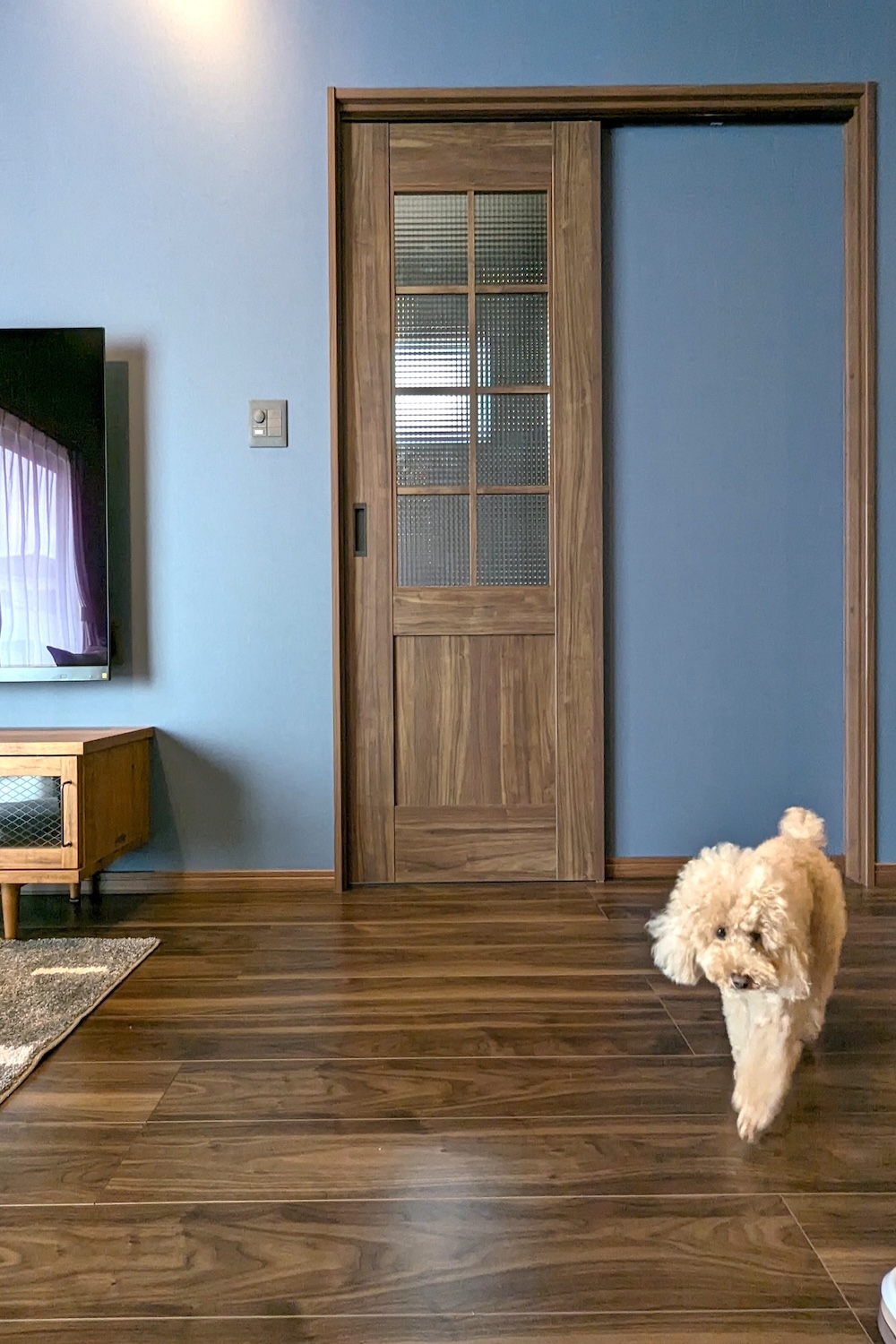 ライフスタイルに合わせた床選び。ペットや介護を意識した床材とは